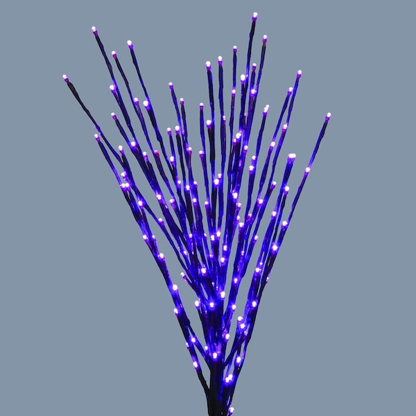 Celebrations Celebrations Halloween Purple 32 in. LED Prelit Burst Halloween Decor LBST100BPLTWA - main